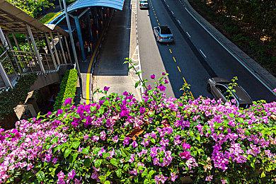 《彩虹六号：围攻》新干员实机演示 12月6日上线